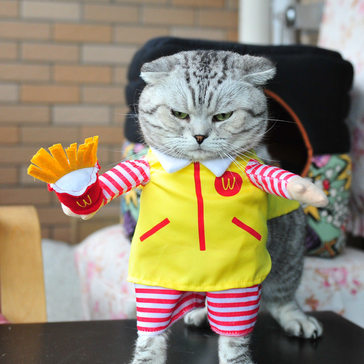 Halloween Dog Costumes: Pirate, Police, Doctor, Guitar, Funny Dress JonxiFon