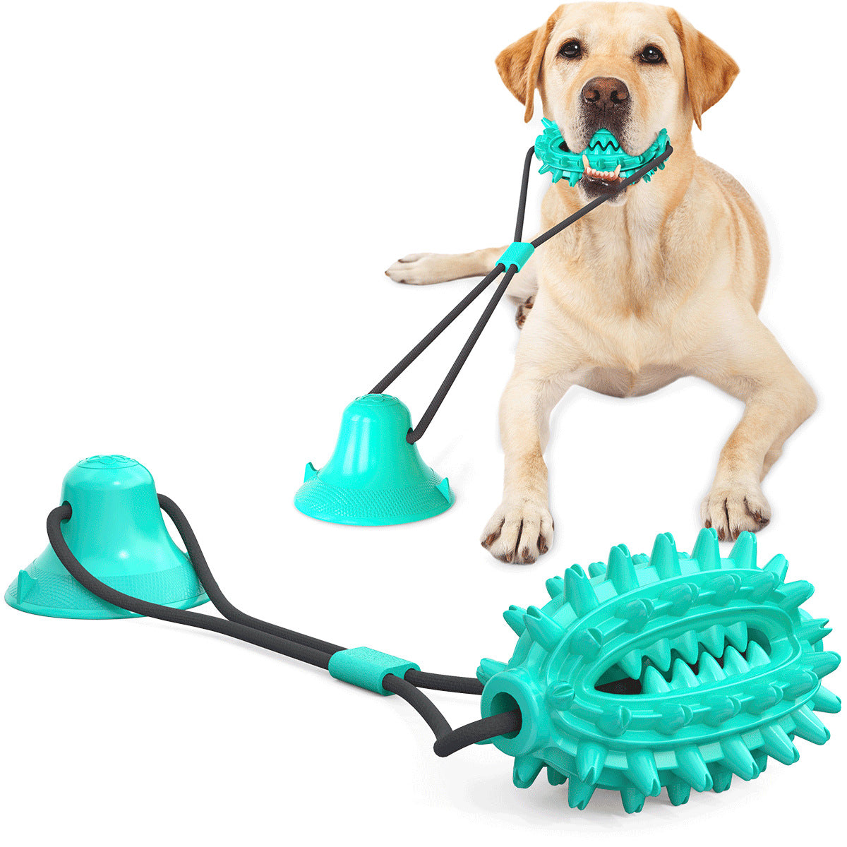 Outdoor Molar Suction Cup Dog Toy with Drawstring Ball Leakage, Dog Toy JonxiFon