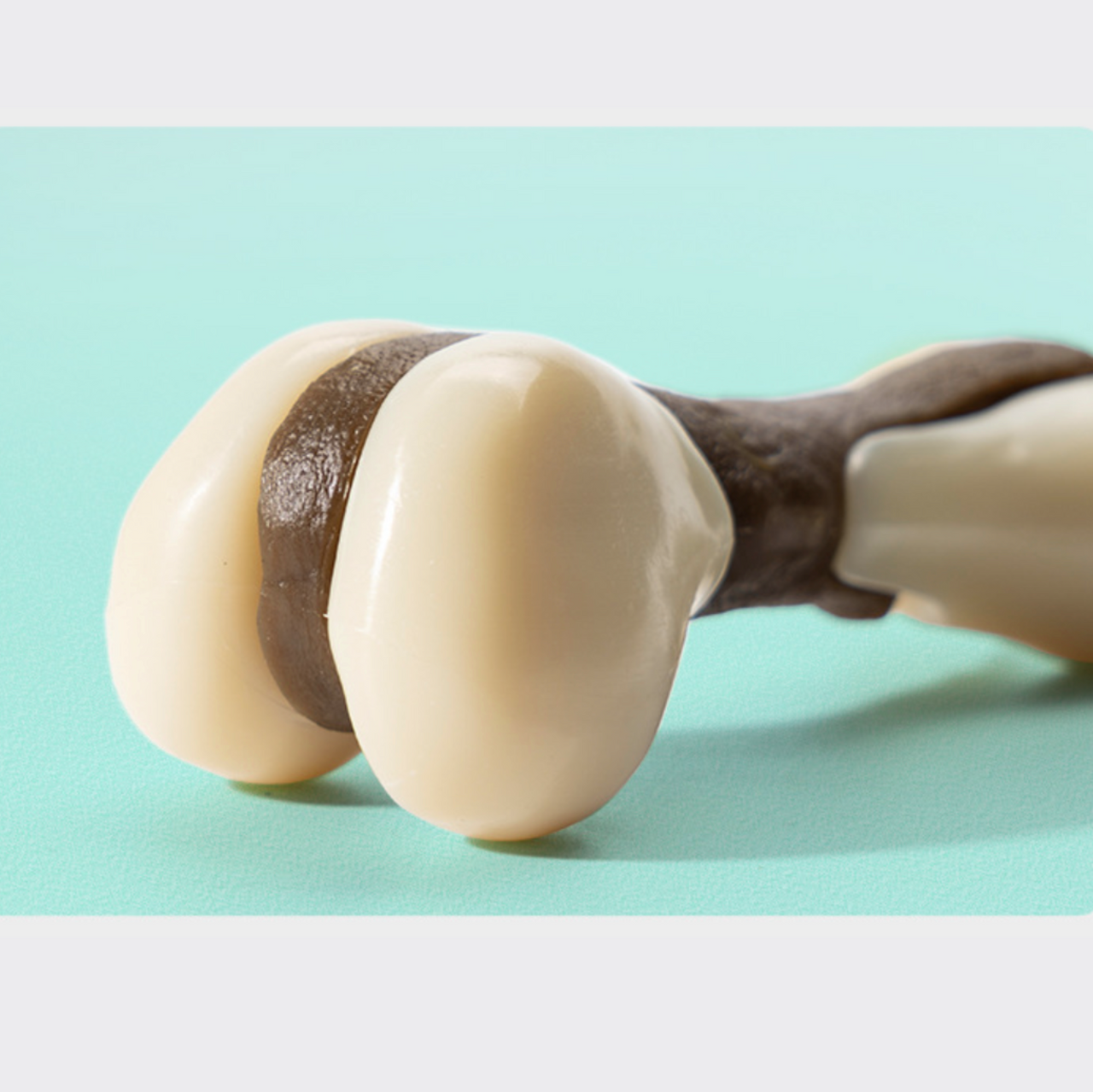 Durable Nylon Coffee Snack Toy for Dogs, Dog Toy JonxiFon