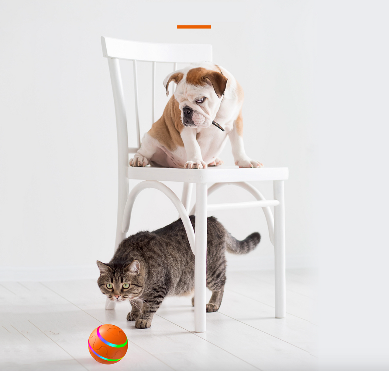 Wicked Ball: New Bite-Resistant Automatic Pet Toy, Electric Smart Dog Toy Ball JonxiFon
