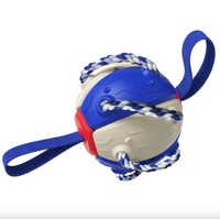 Thumbnail for Outdoor Interactive Frisbee: A bite-resistant dog toy for soccer and play JonxiFon