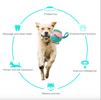 Thumbnail for Outdoor Interactive Frisbee: A bite-resistant dog toy for soccer and play JonxiFon