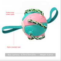 Thumbnail for Outdoor Interactive Frisbee: A bite-resistant dog toy for soccer and play JonxiFon