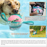 Thumbnail for Outdoor Interactive Frisbee: A bite-resistant dog toy for soccer and play JonxiFon