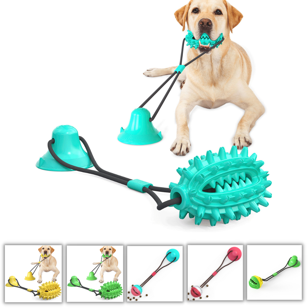 Molar Suction Cup Dog Toy with Drawstring Ball Leakage, Dog Toy JonxiFon