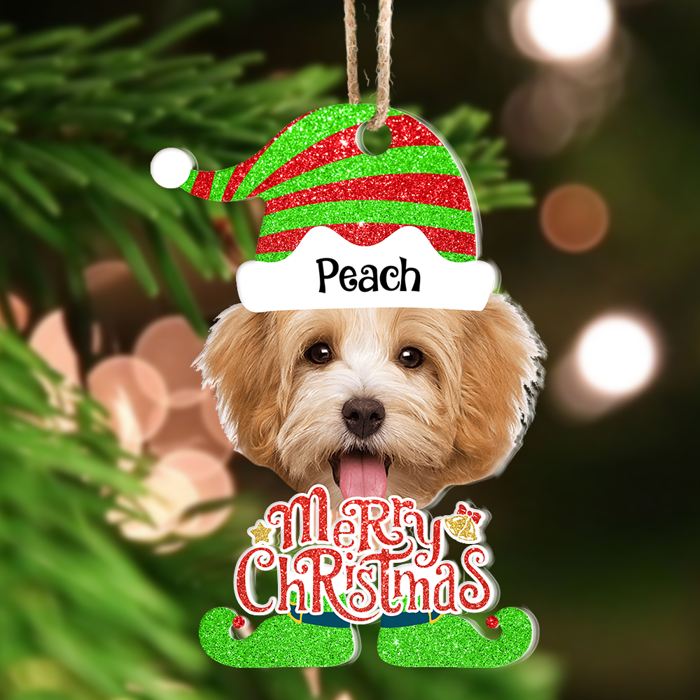 Personalized Acrylic Ornament - Christmas Gift For Family - Face Photo Christmas Costumes FC