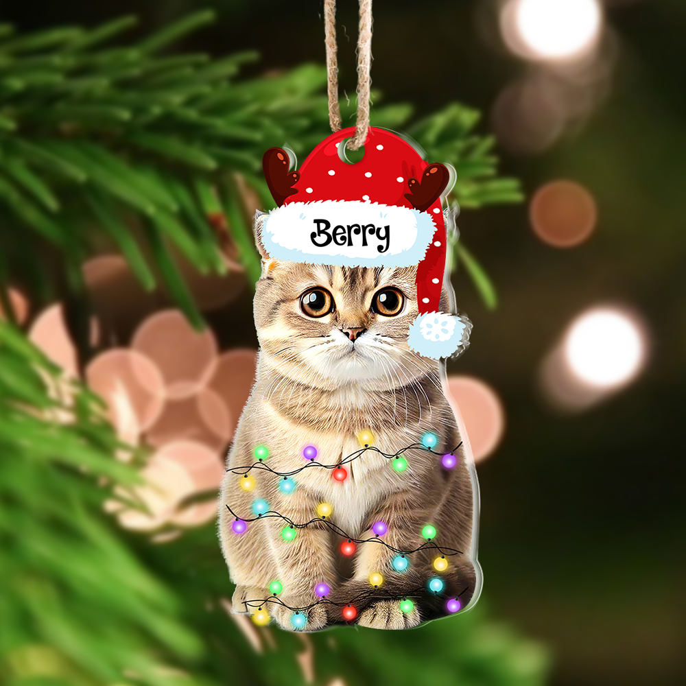 Personalized Acrylic Ornament - Christmas Gift For Pet Lover - Pet Photo Christmas Hat AE