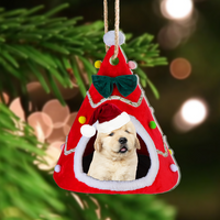 Thumbnail for Personalized Acrylic Ornament - Christmas Gift For Pet Lover - Pet Photo Christmas Net Tent House AC