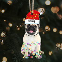 Thumbnail for Personalized Acrylic Ornament - Christmas Gift For Pet Lover - Pet Photo Christmas Hat AE