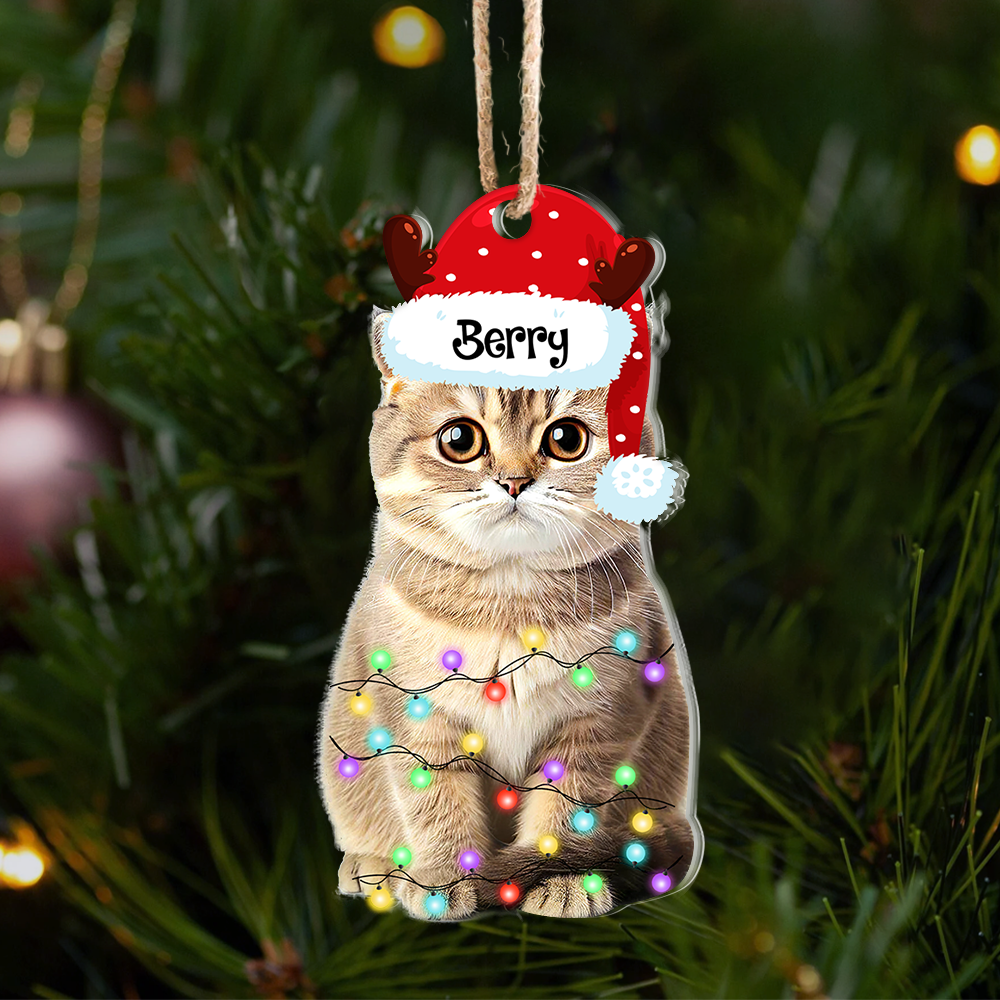Personalized Acrylic Ornament - Christmas Gift For Pet Lover - Pet Photo Christmas Hat AE