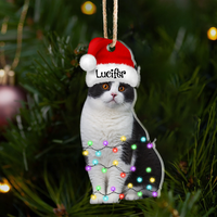 Thumbnail for Personalized Acrylic Ornament - Christmas Gift For Pet Lover - Pet Photo Christmas Hat AE