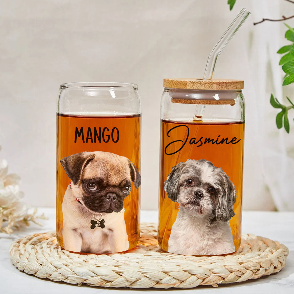 Custom Portrait Photo Glass Can With Lid & Straw, Pet Lover Gift FC
