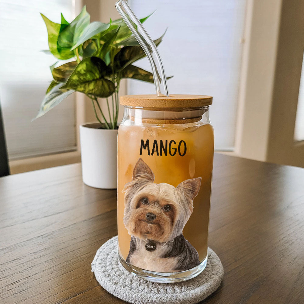 Custom Portrait Photo Glass Can With Lid & Straw, Pet Lover Gift FC