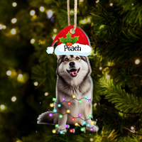 Thumbnail for Personalized Acrylic Ornament - Christmas Gift For Pet Lover - Pet Photo Christmas Hat AE