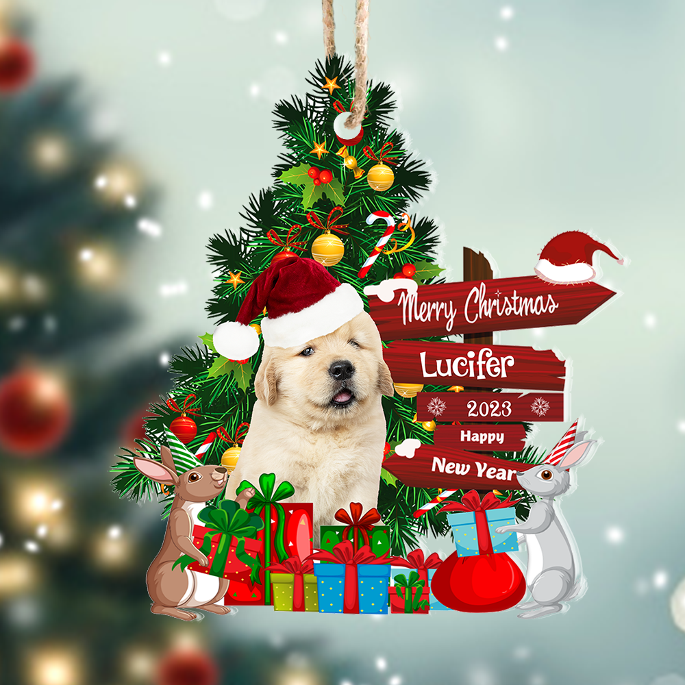 Personalized Acrylic Ornament - Christmas Gift For Pet Lovers - Pet Photo Christmas Tree Gift AC