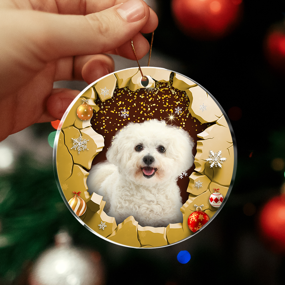 Personalized Christmas Ornament - Christmas Gift For Family - Photo Christmas Tree Decoration AE