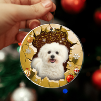 Thumbnail for Personalized Christmas Ornament - Christmas Gift For Family - Photo Christmas Tree Decoration AE
