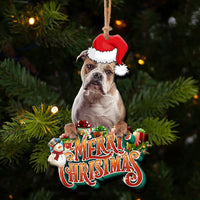 Thumbnail for Pet Upload Photo Christmas Custom Shape Acrylic Ornament, Gift for Cat, Dog Lovers AE