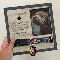 Thumbnail for Pet Memorial gifts - Pet Collar Holder AA