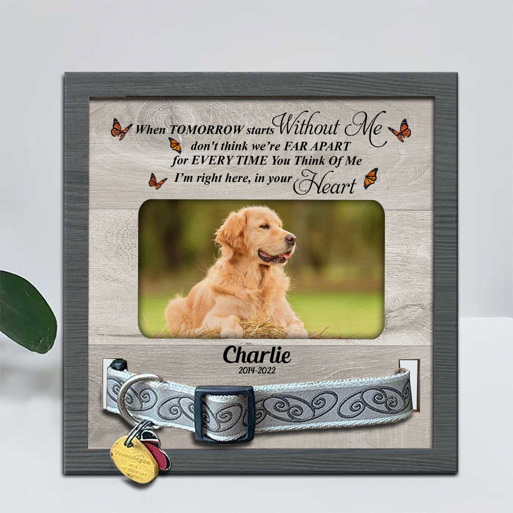 When Tomorrow Starts  Without Me Pet memorial Pet Loss - Pet Collar Holder AA