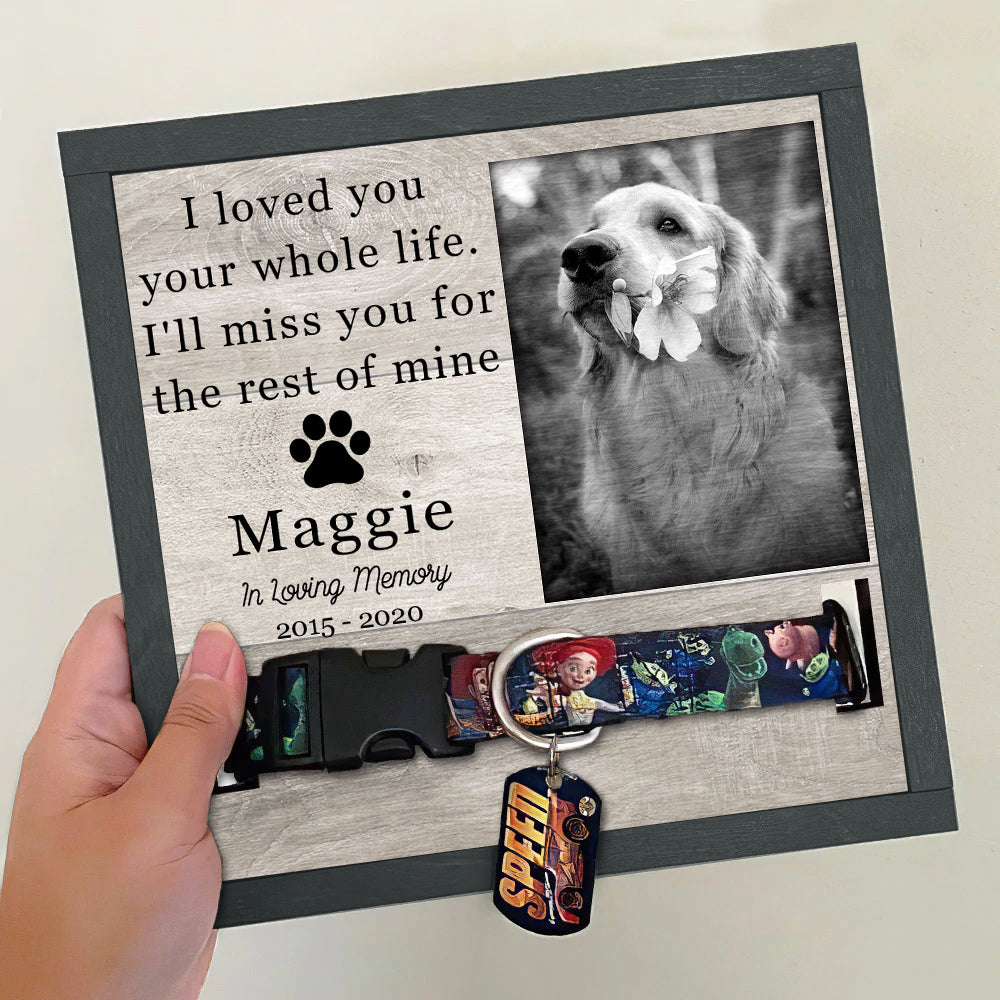 Pet Memorial gifts - Pet Collar Holder AA