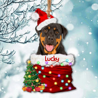 Thumbnail for Personalized Upload Photo Dog Christmas Santa Acrylic Ornament, Customized Holiday Ornament AE