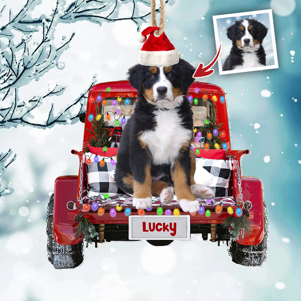 Upload Photo Dog Cat Christmas Red Truck Printed Acrylic Ornament, Customized Holiday Ornament AE