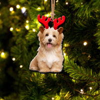 Thumbnail for Pet Upload Photo Christmas Custom Shape Acrylic Ornament, Gift for Cat, Dog Lovers AE