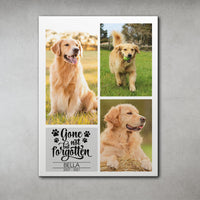 Thumbnail for Gone But Not Forgotten - Personalized Pet Memorial Canvas AK