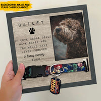 Thumbnail for Pet Memorial gifts - Pet Collar Holder AA