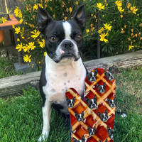 Thumbnail for Custom Food Is Everything Photo Oven Mitts & Potholder, Pet Lover Gift AI