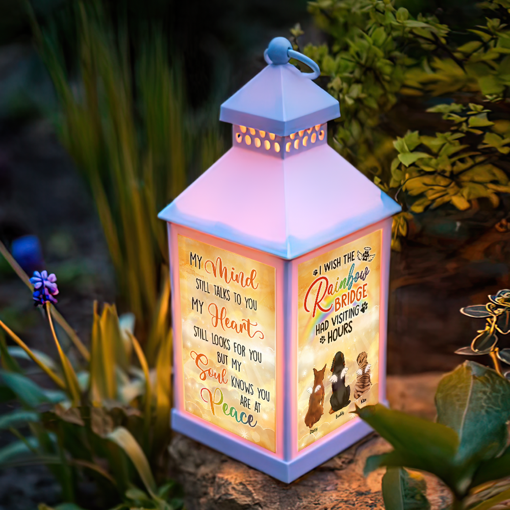 Custom A Piece Of My Heart Dog Cat Memorial Lantern II, Memorial Gift YHN-THUY