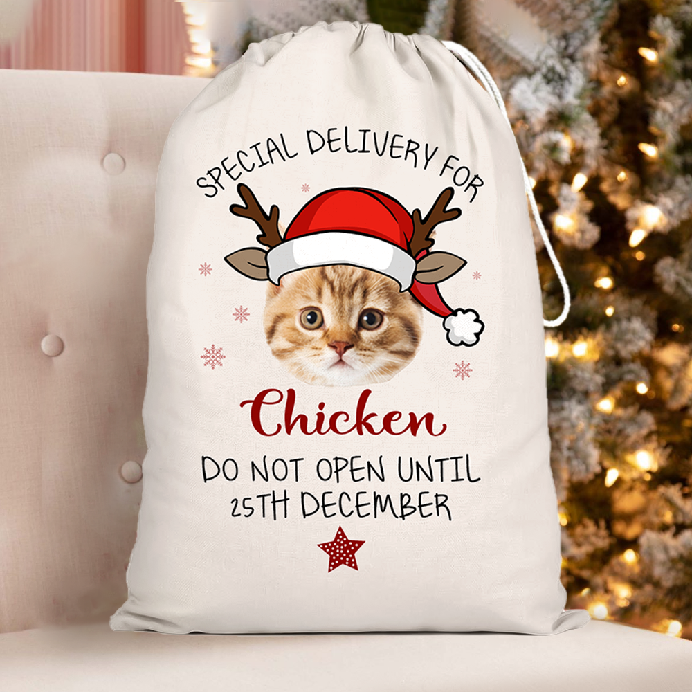 Custom Christmas Reindeer Photo Christmas Bag, Christmas Gift AB