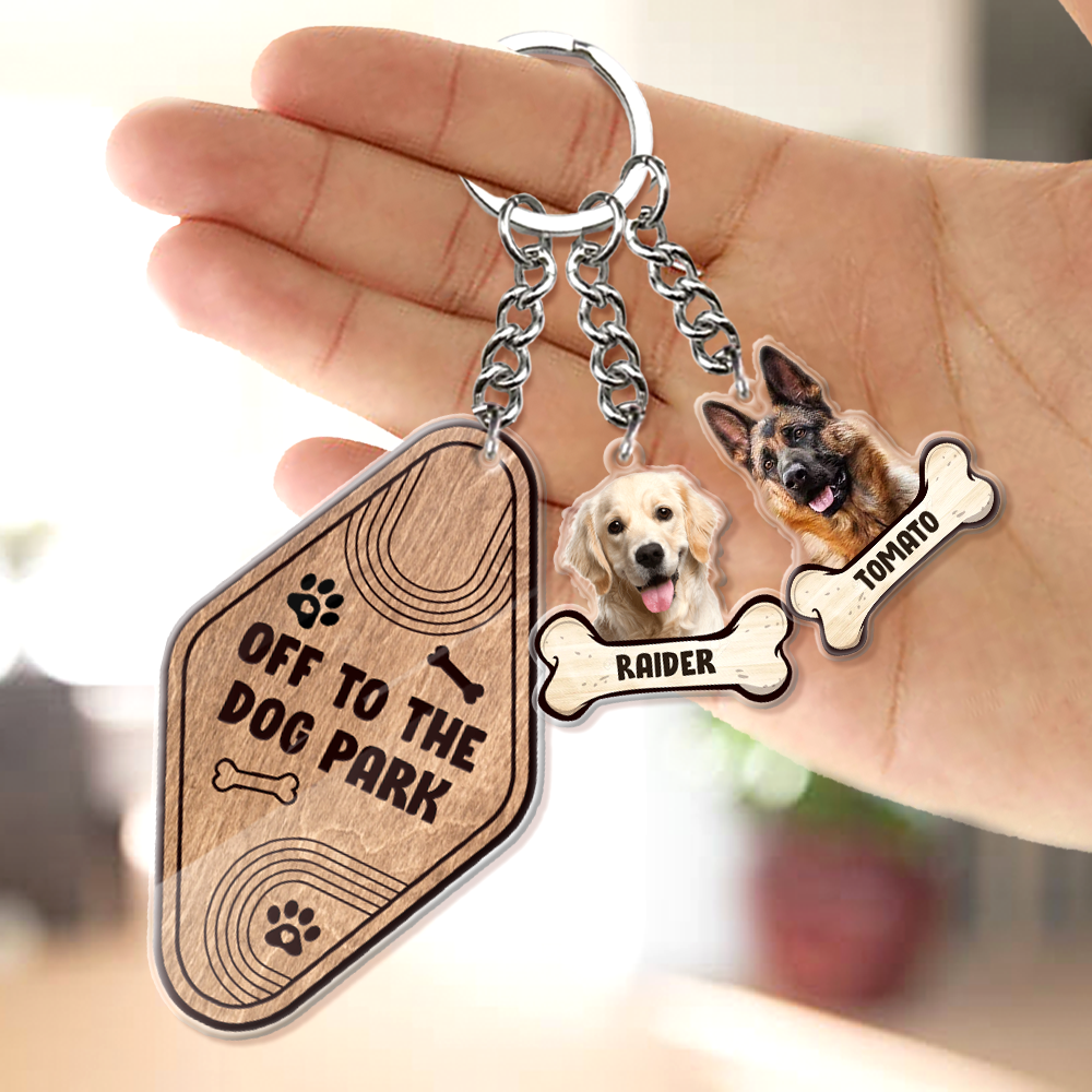 This Human Belongs To Dog Bone Acrylic Keychain, Dog Lover Gift AC