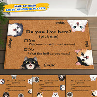 Thumbnail for Do You Live Here Cat Personalized Doormat, Gift For Cat lovers JonxiFon
