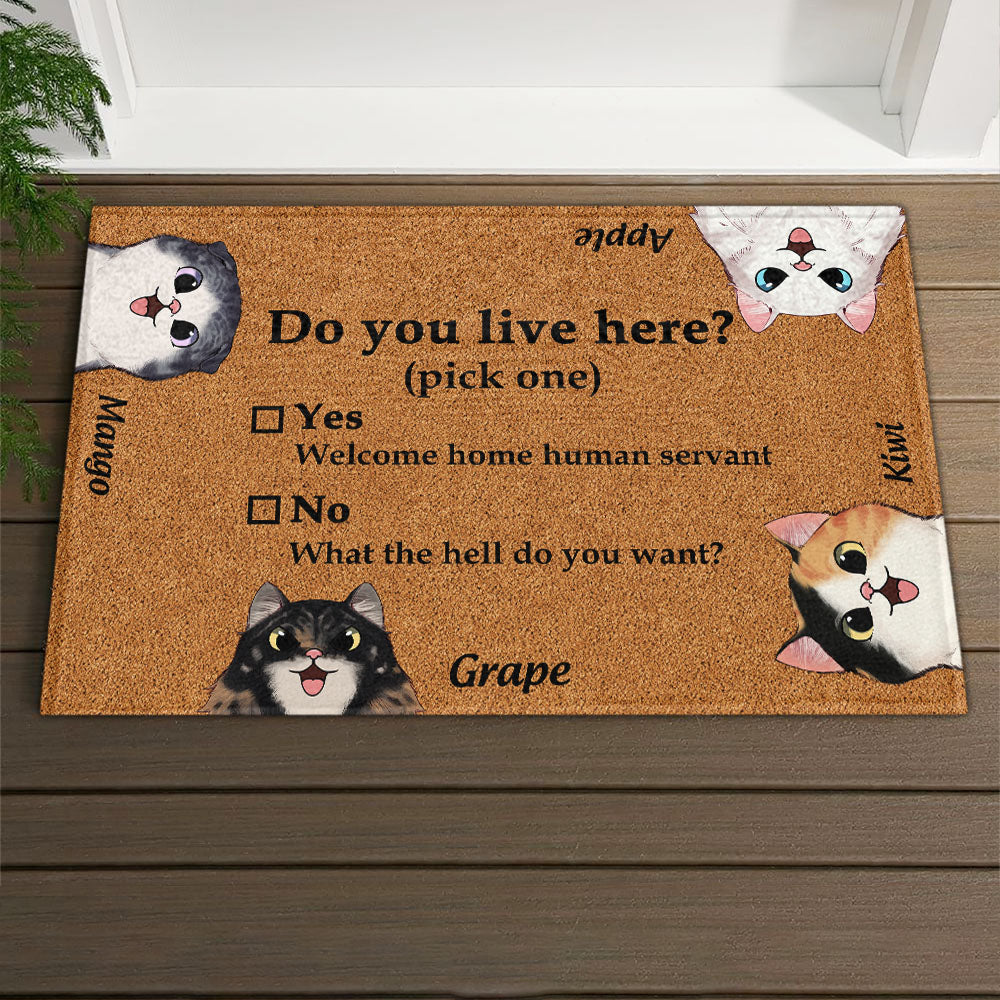 Do You Live Here Cat Personalized Doormat, Gift For Cat lovers JonxiFon