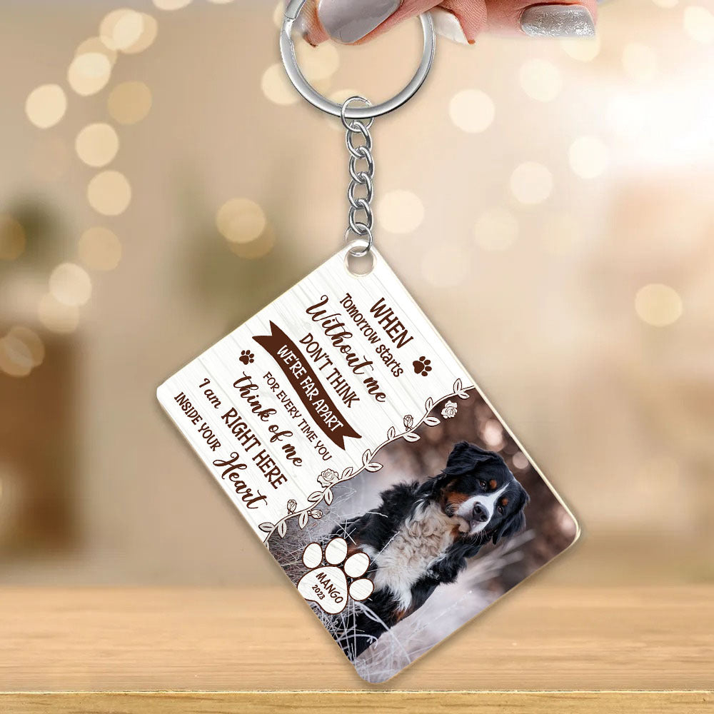 Personalized When You Miss Me Dog Cat Memorial Acrylic Keychain, Gift For Pet Lovers JonxiFon