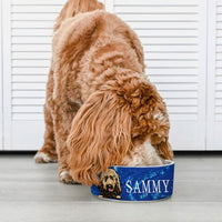Thumbnail for Sparkling Pet Bowl, Dog Lover Gift Printway