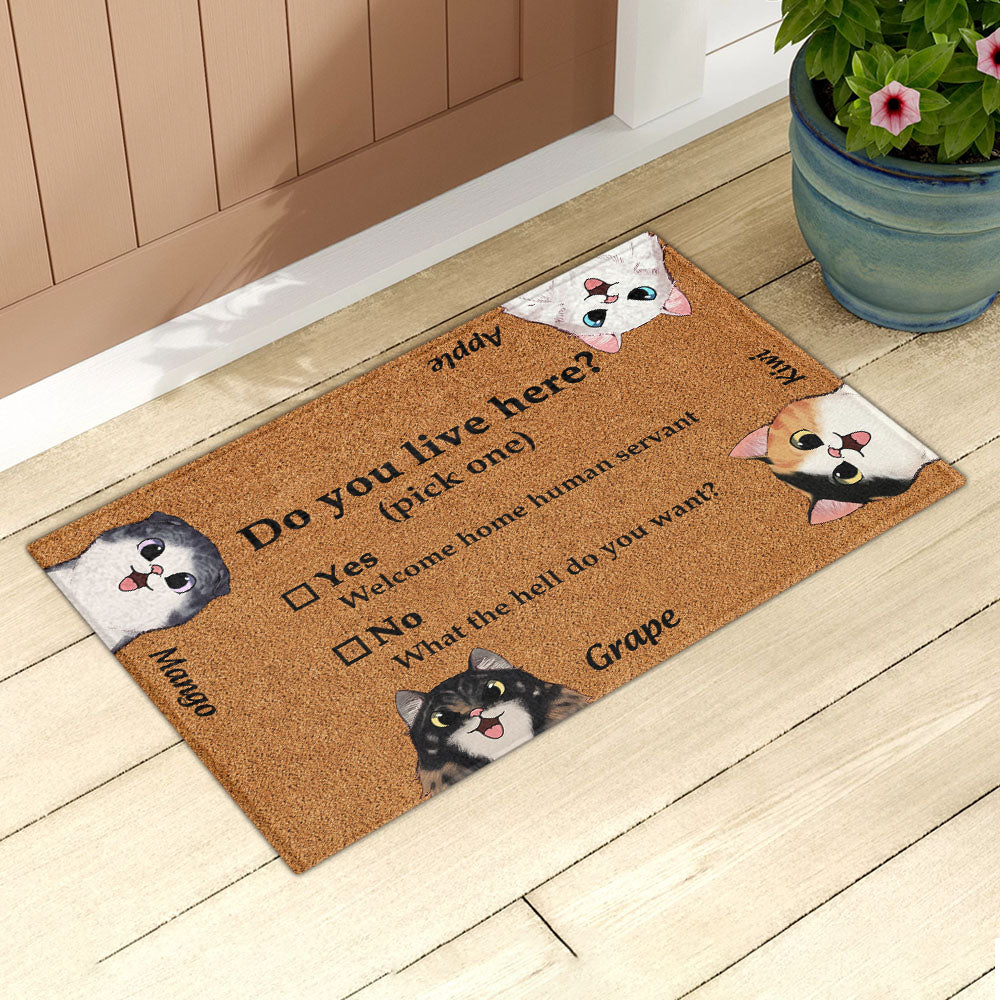 Do You Live Here Cat Personalized Doormat, Gift For Cat lovers JonxiFon
