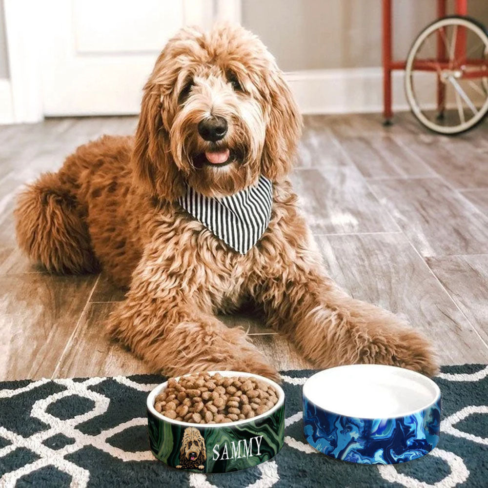 Liquid Color Pet Ceramic Bowl, Dog Lover Gift Printway