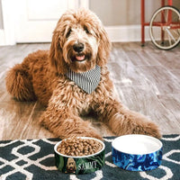 Thumbnail for Liquid Color Pet Ceramic Bowl, Dog Lover Gift Printway