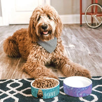 Thumbnail for Sparkling Pet Bowl, Dog Lover Gift Printway