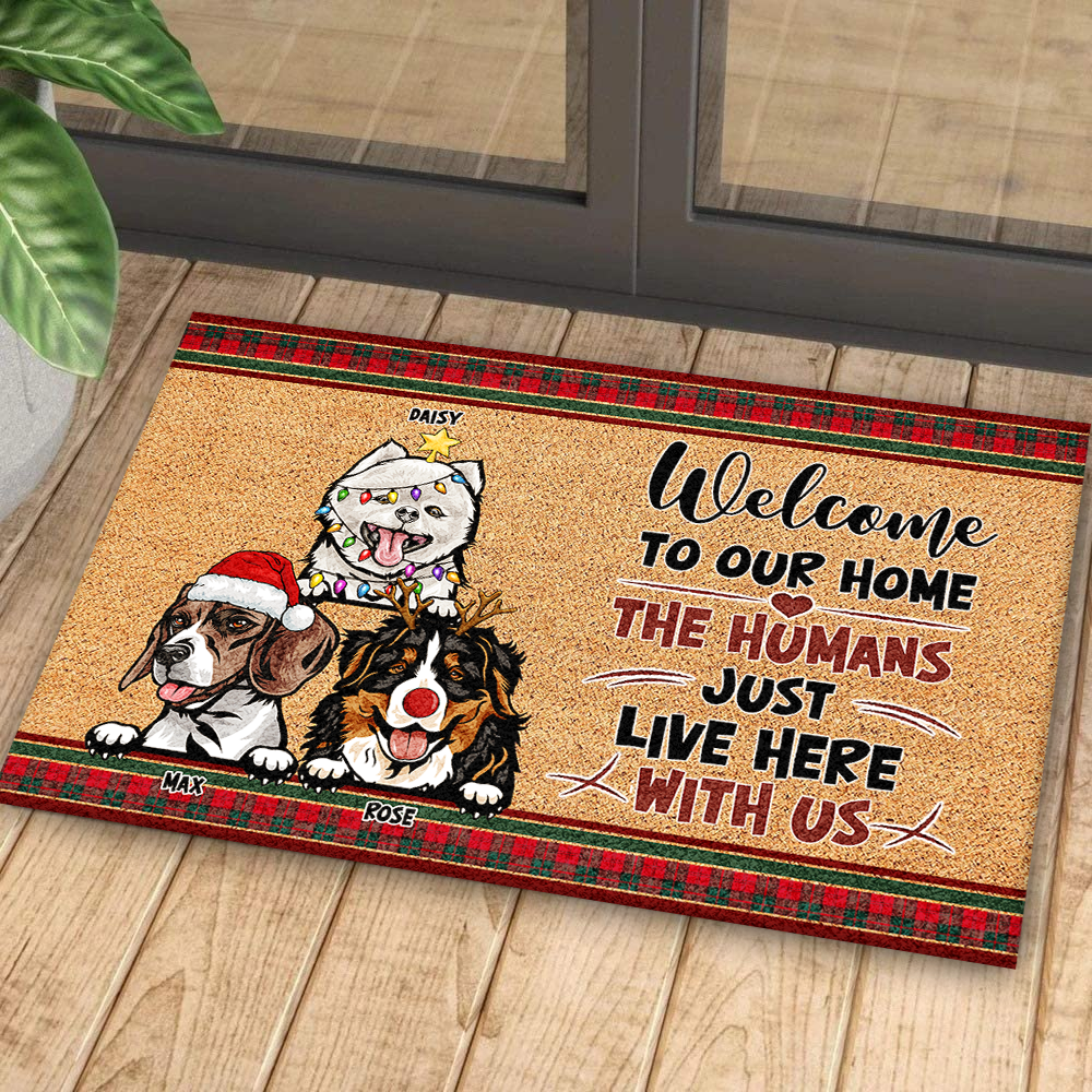 Personalized  Dog Cat Welcome To Our Home Christmas Doormat, House Decor AB