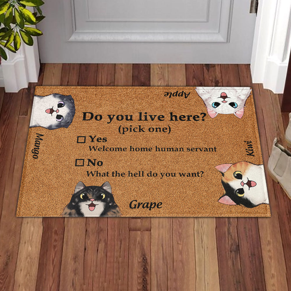 Do You Live Here Cat Personalized Doormat, Gift For Cat lovers JonxiFon