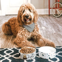 Thumbnail for Boho Chic Terrazzo Pet Ceramic Bowl, Dog Lover Gift Printway
