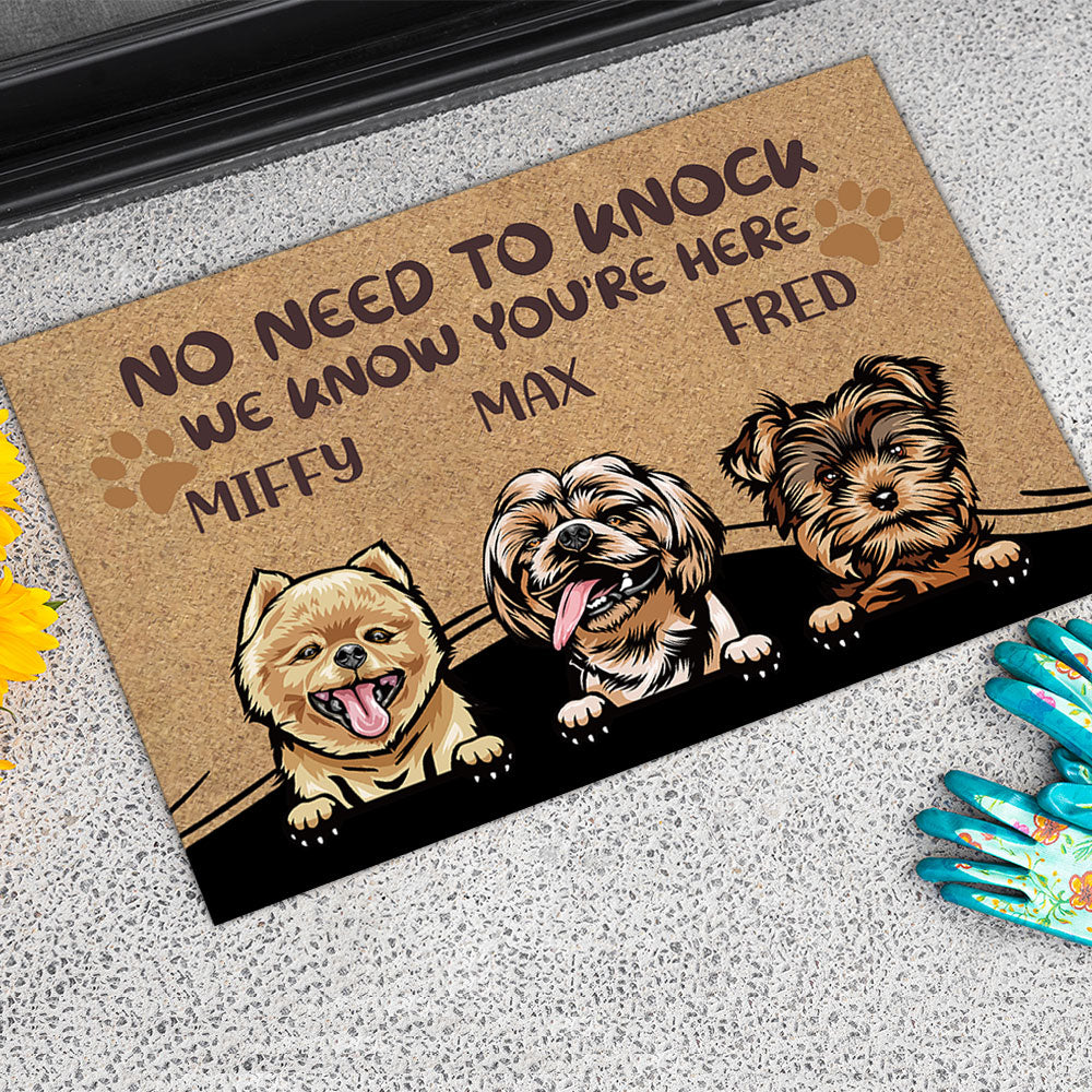 No Need to Knock We Know You're Here Funny, Personalized Dog Doormat AB