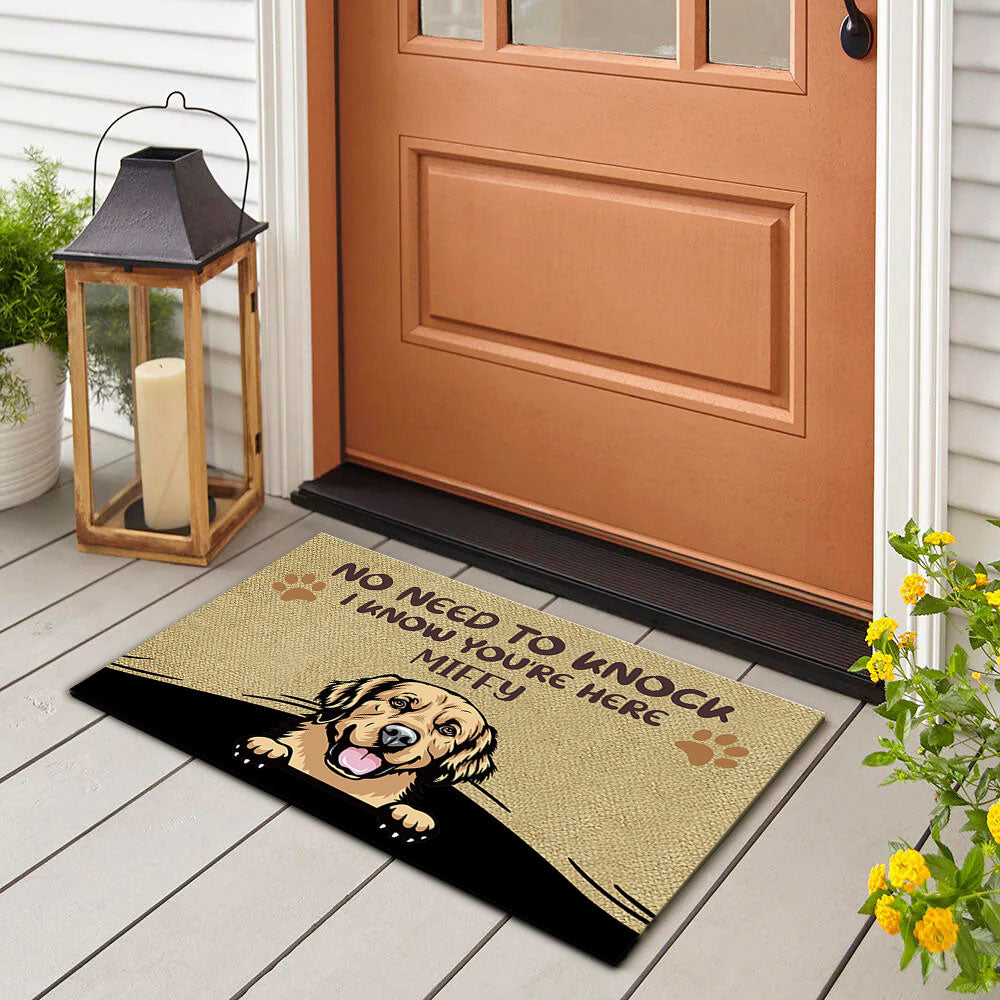 No Need to Knock We Know You're Here Funny, Personalized Dog Doormat AB